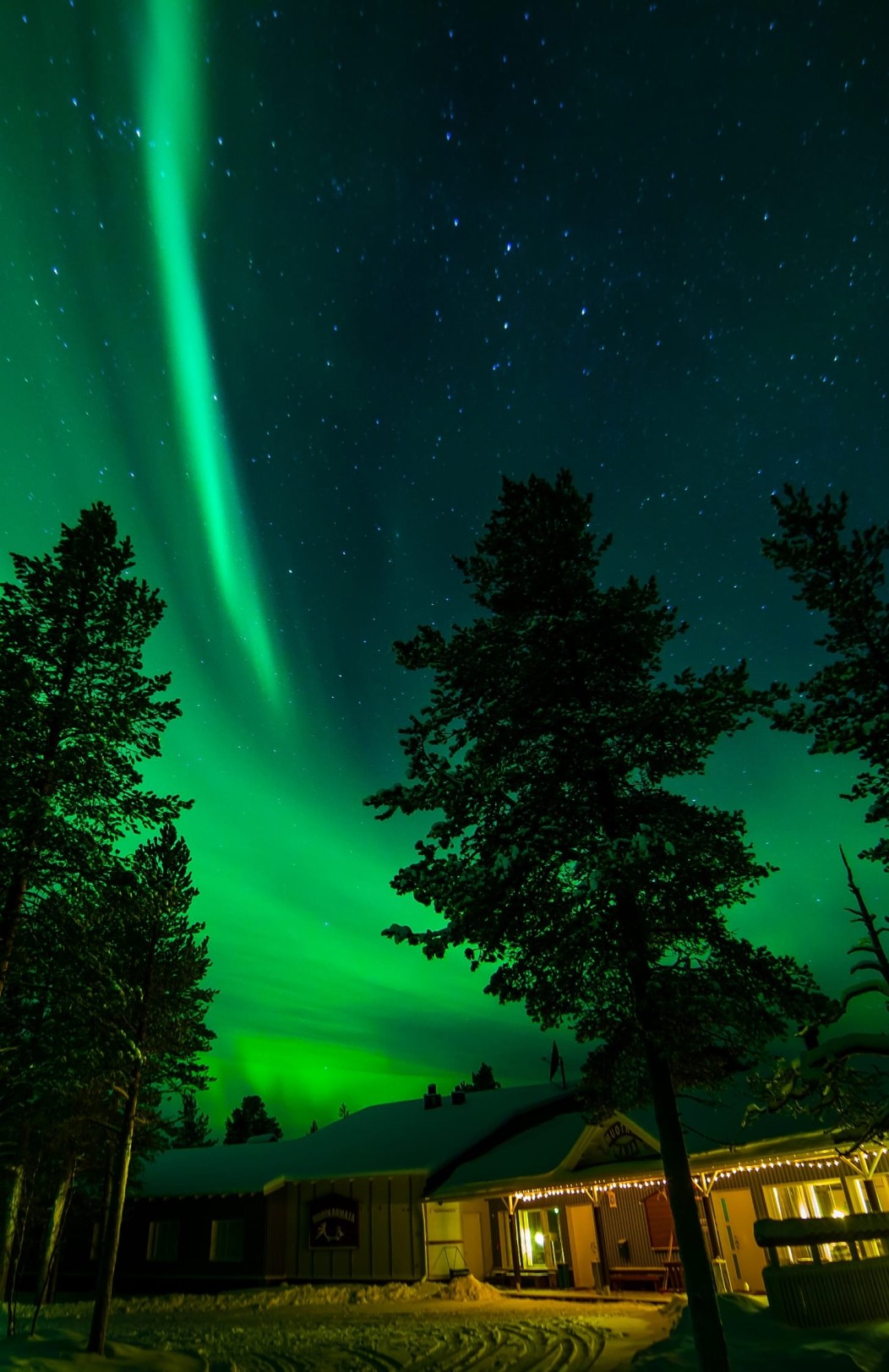 Muotka Northern Lights & Wilderness Break